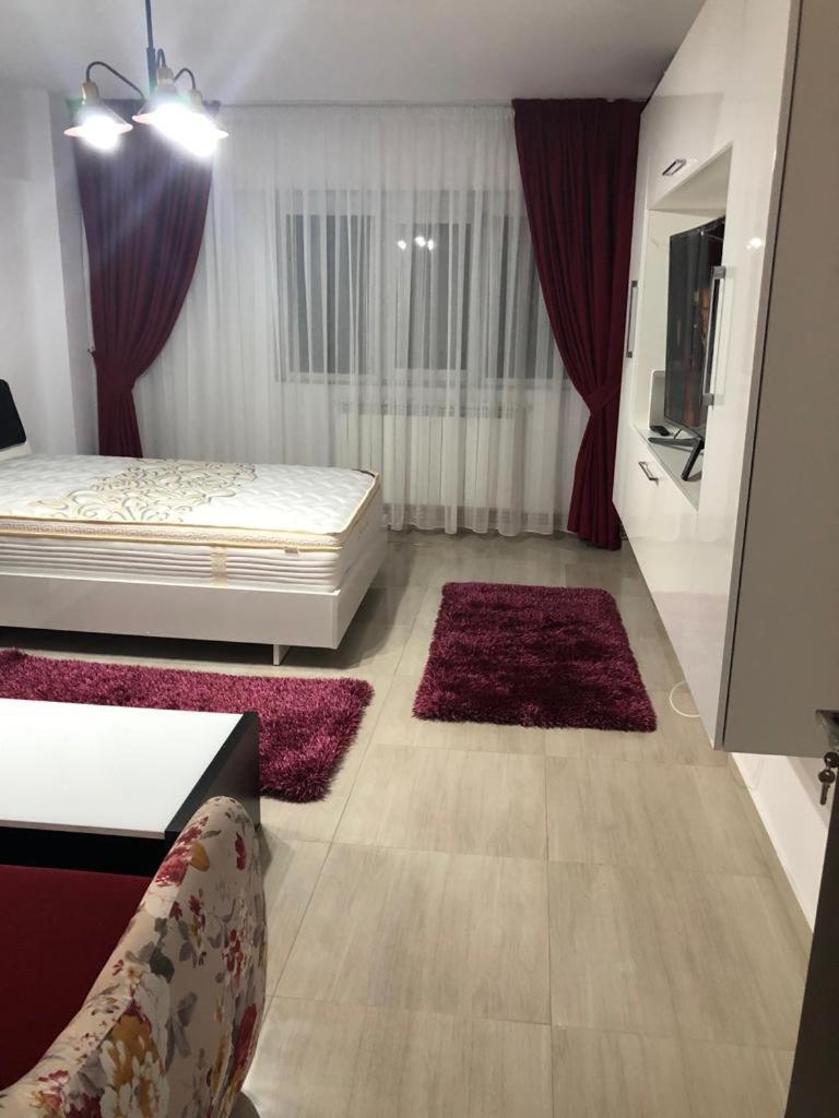 Ana Studio Apartment Galaţi Extérieur photo